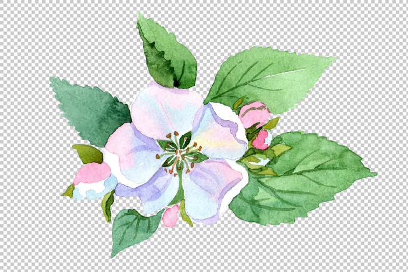 wildflower-apple-blossom-png-watercolor-set