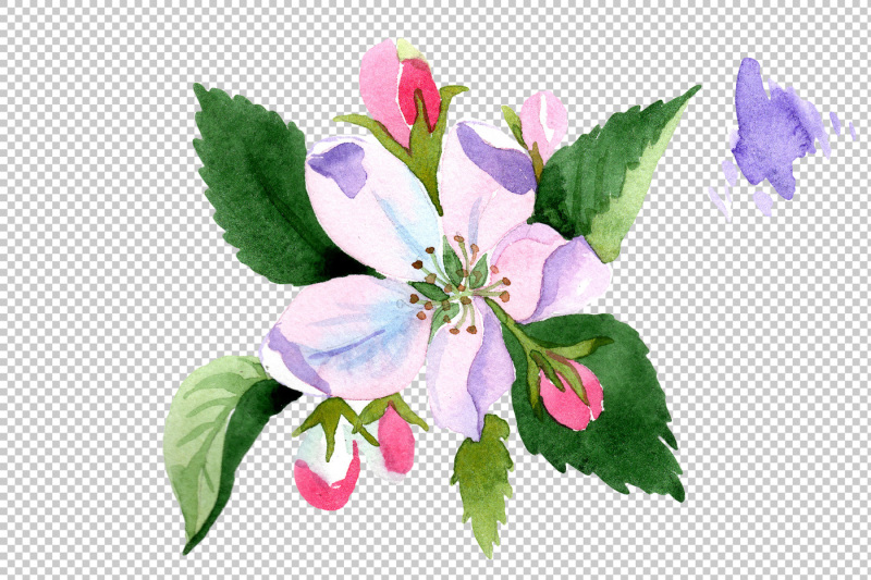 wildflower-apple-blossom-png-watercolor-set