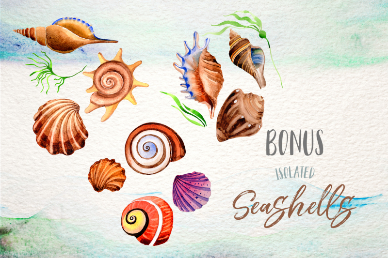 watercolor-summer-beach-seashell-png-set