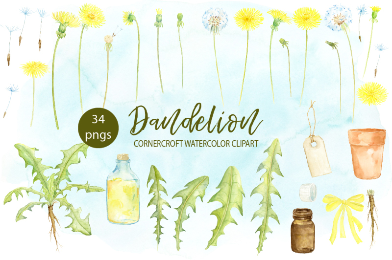 dandelion-clipart