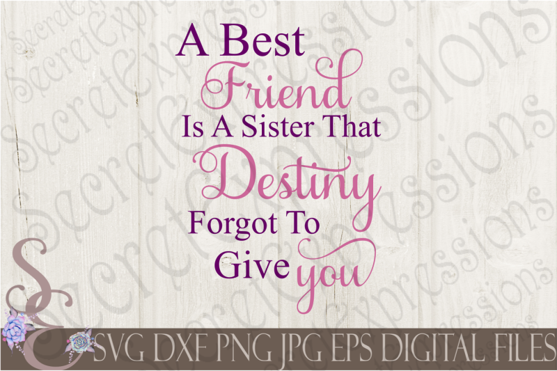 a-best-friend-is-a-sister-that-destiny-forgot-to-give-you