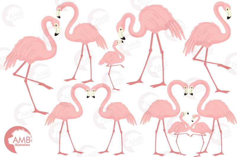 flamingo-family-cliparts-flamingos-cliparts-amb-1037