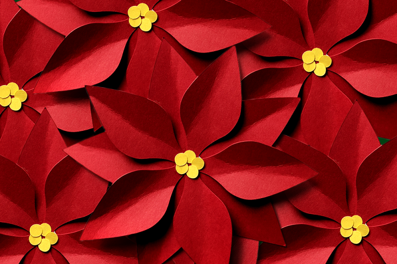 christmas-poinsettia-svg-png-dxf