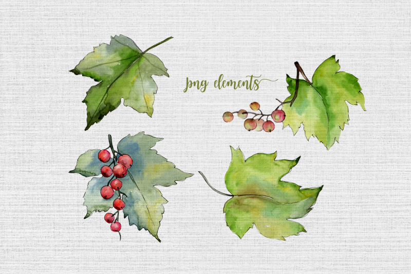 leaves-currant-png-watercolor-set