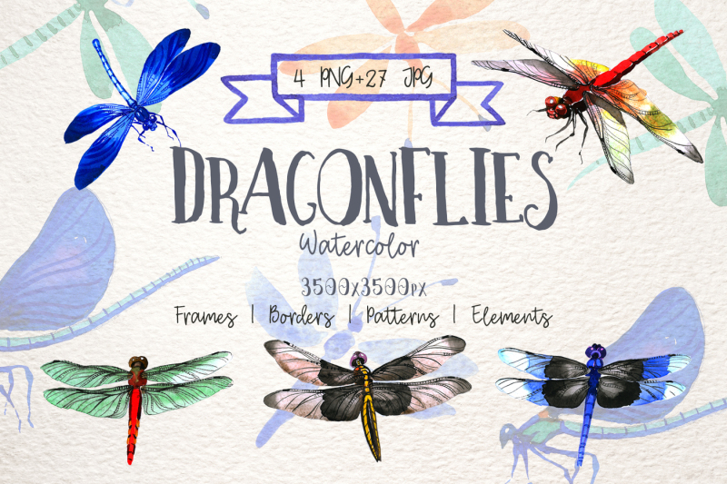 insect-dragonfly-png-watercolor-set