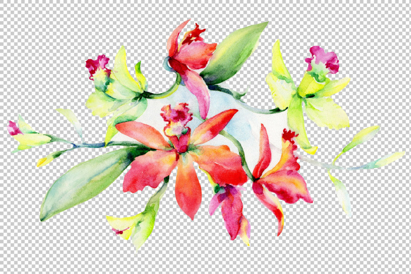 bouquet-of-red-tropical-orchids-png-set