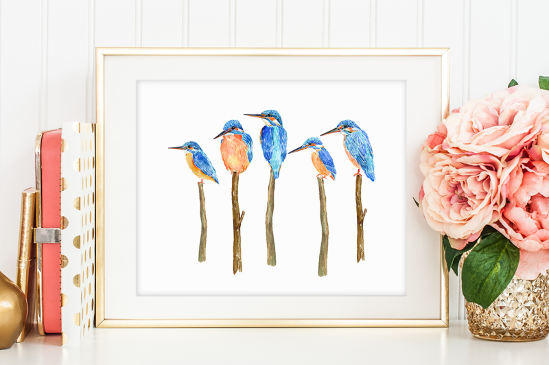 watercolor-kingfisher-illustration