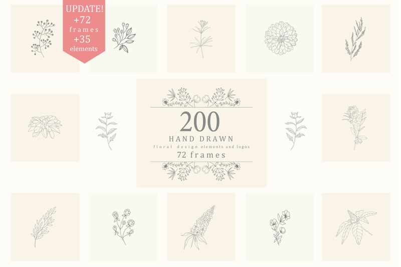 200-hand-drawn-floral-elements-frames