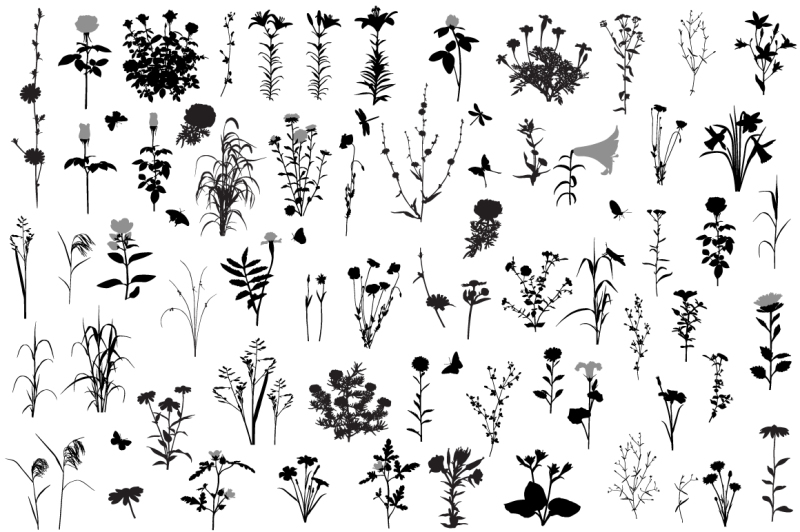 66-silhouettes-of-flowers-and-plants