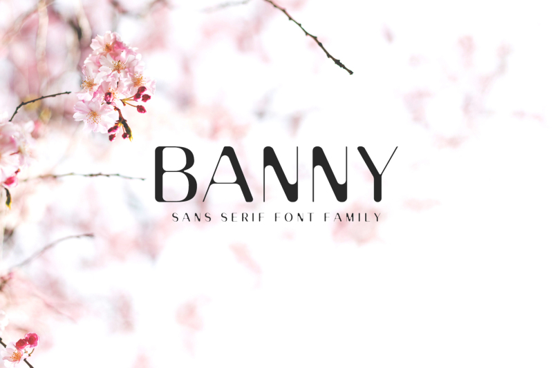 banny-sans-serif-font-family