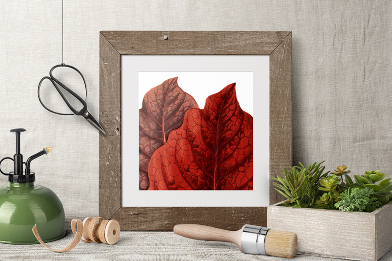 leaves-clipart-vintage