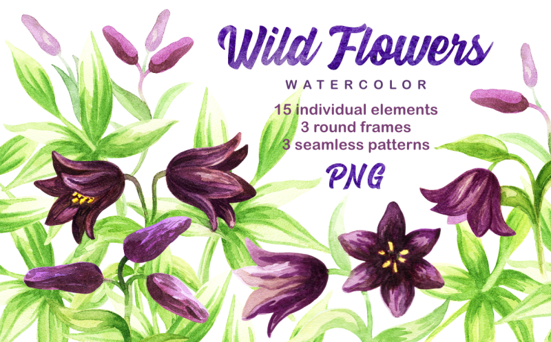 wild-flowers-watercolor-set