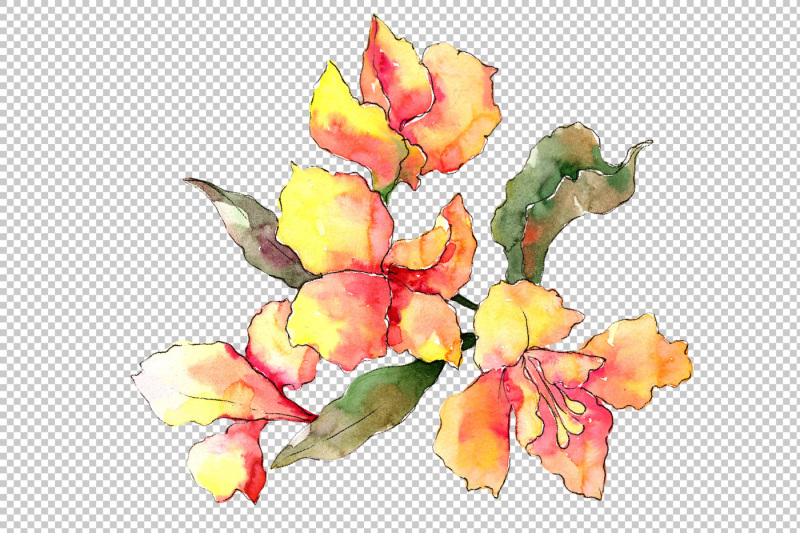 alstroemeria-pink-flower-png-watercolor-set-nbsp