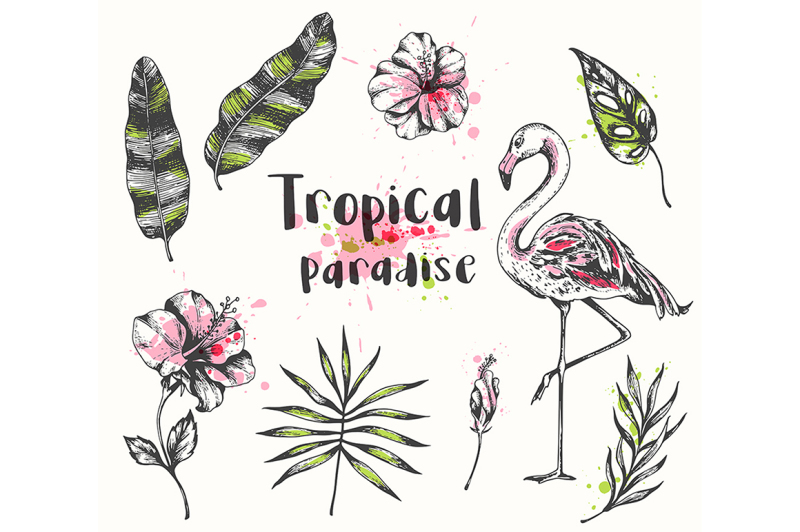 vintage-tropical-design-kit