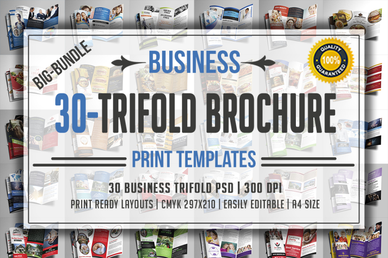 trifold-brochure-bundle