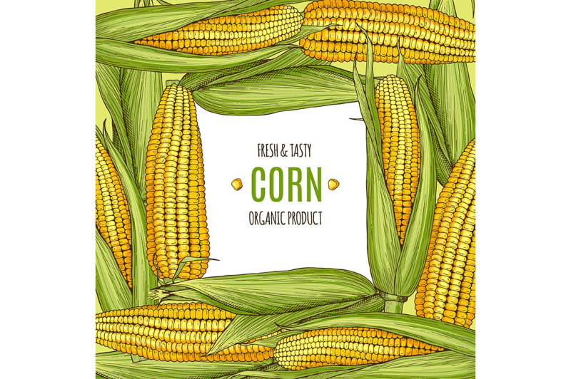 colored-background-illustration-with-corn