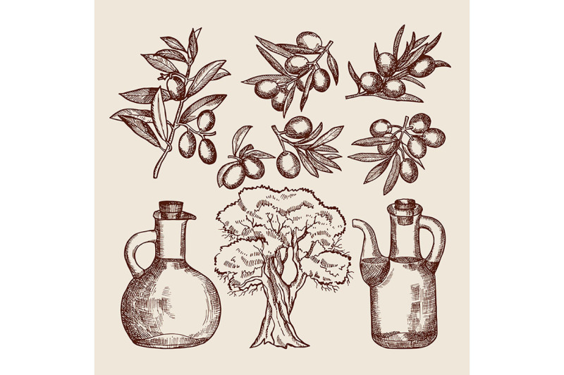 olive-oil-in-bottling-olive-tree-and-other-hand-drawn-foods
