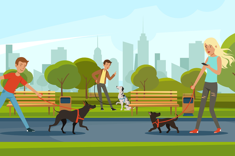 people-walking-with-dogs-in-urban-park