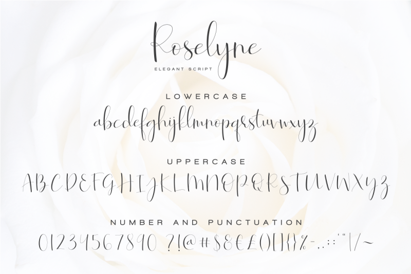 roselyne-wedding-script