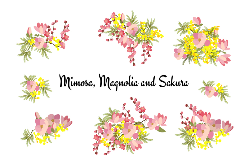 mimosa-cherry-and-magnolia
