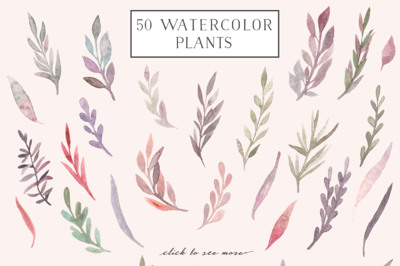 watercolor-flora-dreamy-collection
