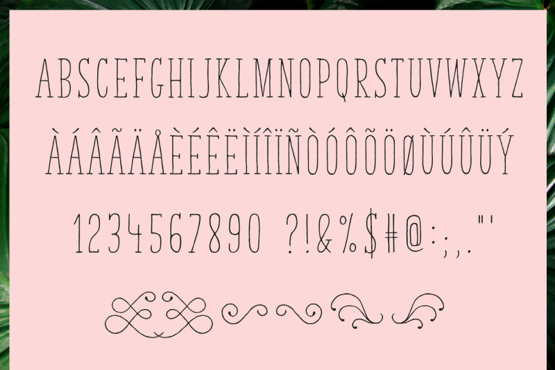 summer-leaves-font-duo