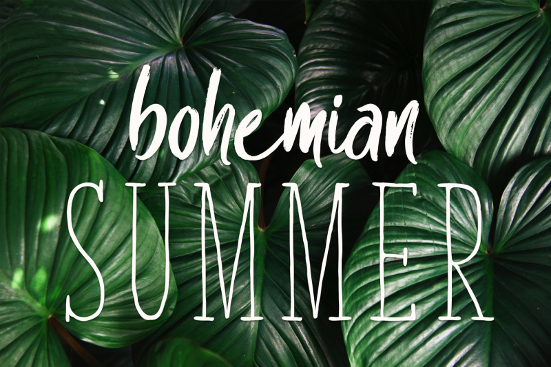 summer-leaves-font-duo