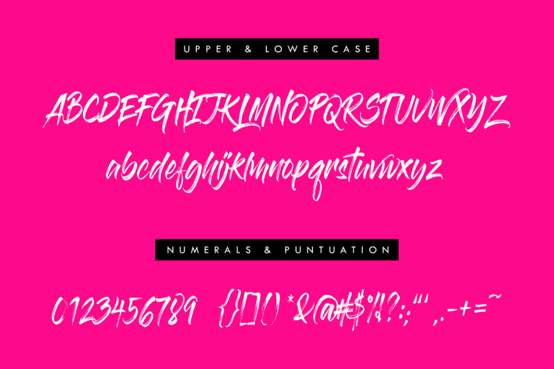 lenna-vera-a-modern-and-bold-font-duo