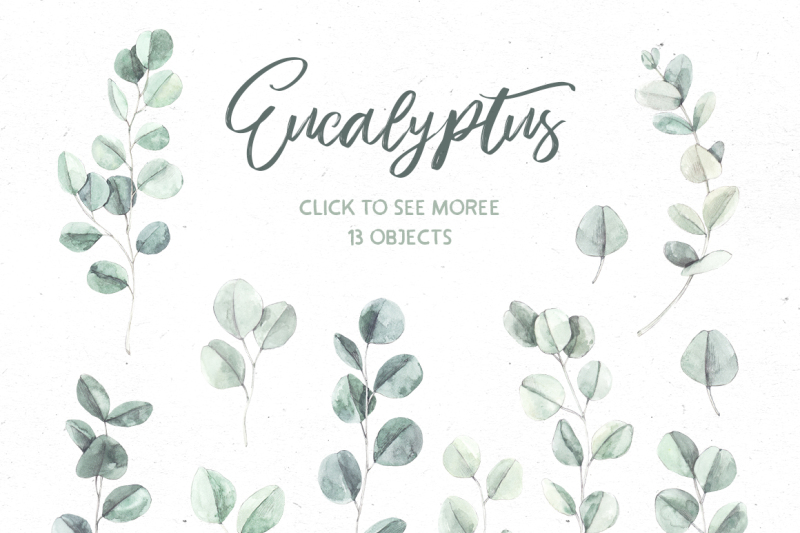 eucalyptus-watercolor-illustrations