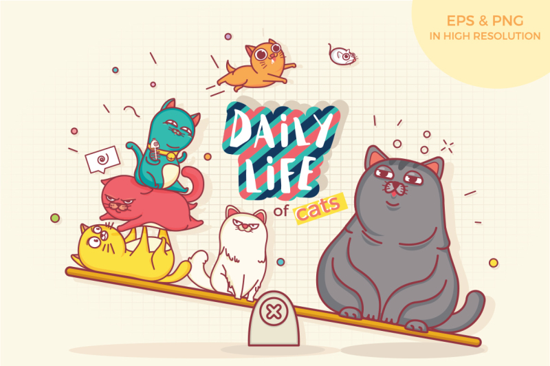 daily-life-of-cats
