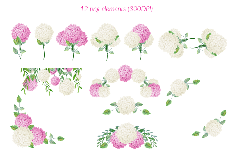 pink-and-white-hydrangea-clipart