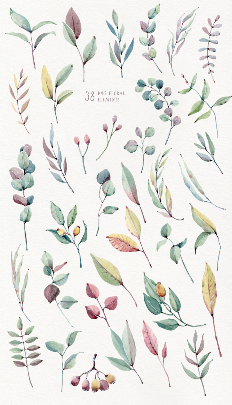 august-foliage-watercolor-set