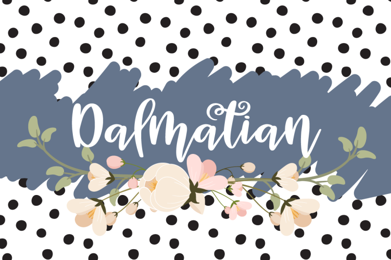 dalmatian-a-modern-hand-lettered-bouncy-script-font