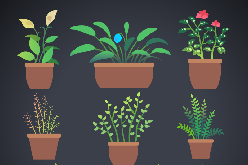house-plants-flowers-in-pots-vector-flat-icons