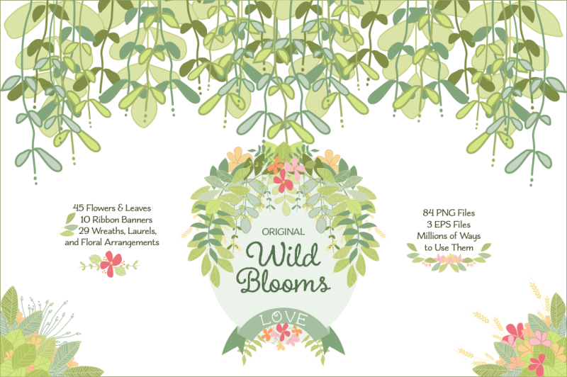 wild-blooms