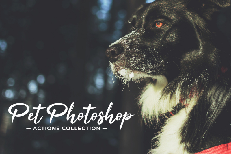 pet-photoshop-actions-collection