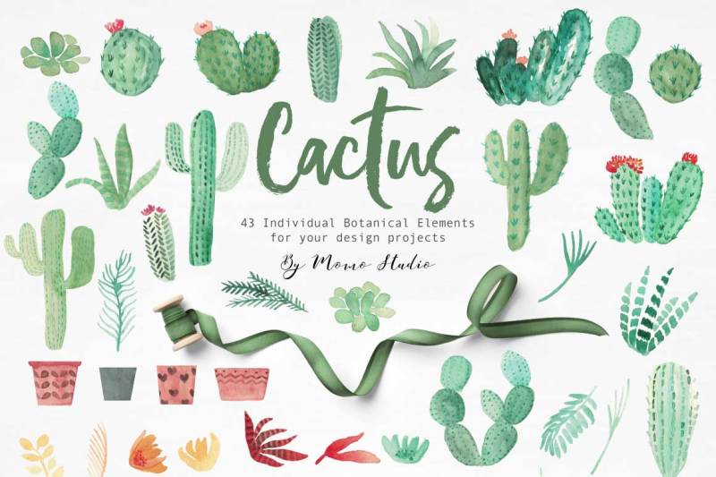 cactus-succulent-watercolor-greenery-design-set