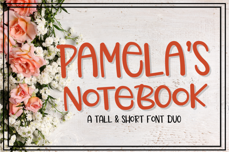 pamela-s-notebook-font-duo
