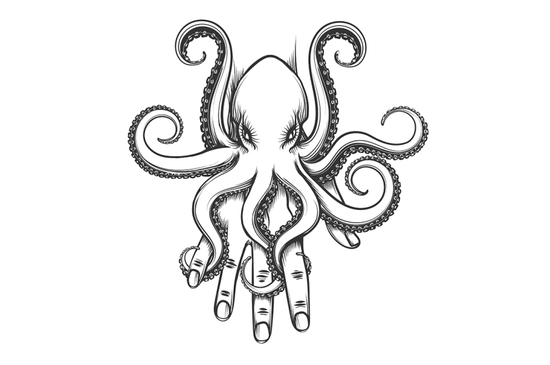 octopus-on-a-hand