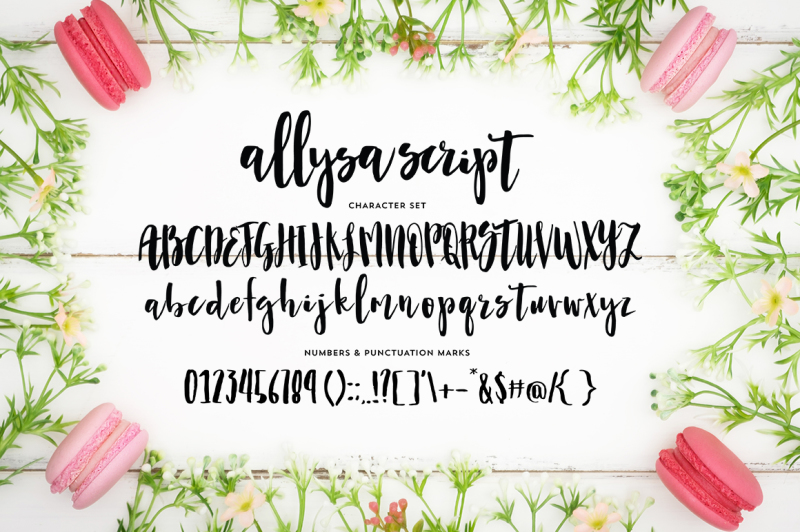allysa-script-font