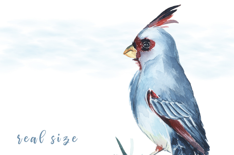 watercolor-birds-clipart