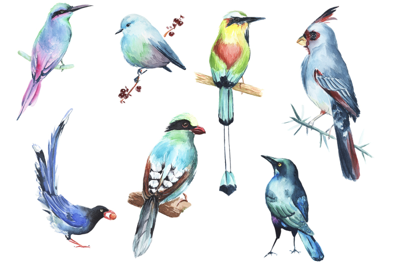 watercolor-birds-clipart