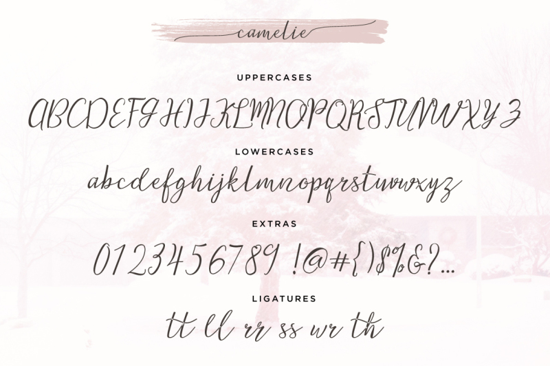 camelie-typeface