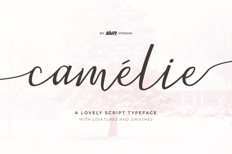 camelie-typeface