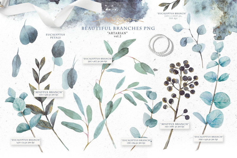eucalyptus-branches-and-petals