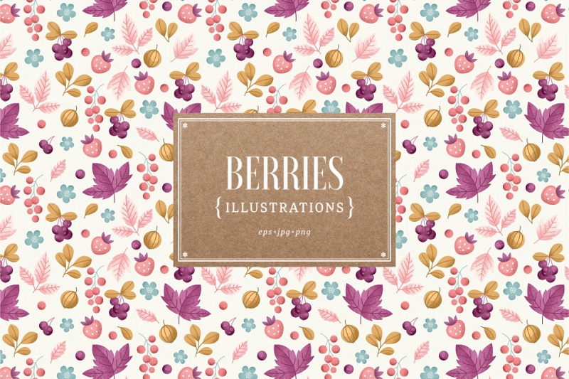 berries-illustrations
