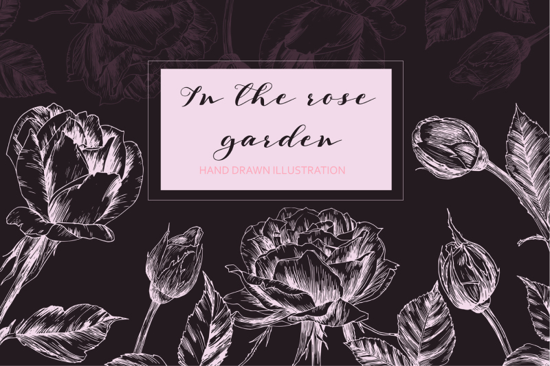 in-the-rose-garden
