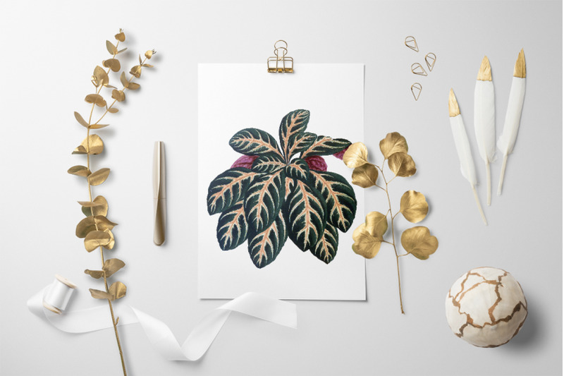 leaves-clipart-vintage