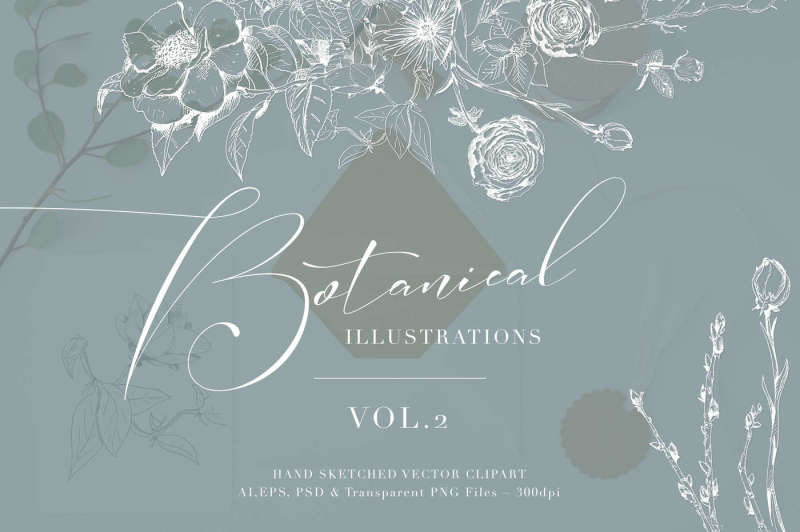 botanical-illustrations-vol-2