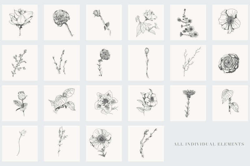botanical-illustrations-vol-2
